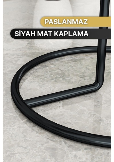 Peçetelik Rulo Havluluk Mat Siyah Kaplama Paslanmaz Dolu Çelik Havlu Peçetelik, Metal Havluluk