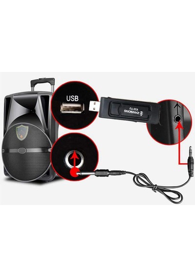 Kablosuz El Mikrofonu + Usb Alıcı , Öğretmen, Karaoke Ve Sunumlar İçin