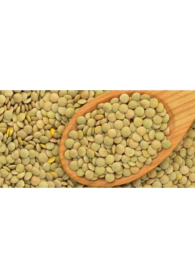 Yeşil Mercimek 25 KG