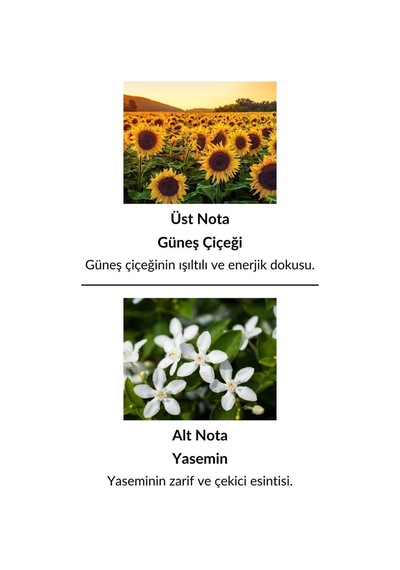 Alescia St-27 Kadın Parfüm EDP 50 ML