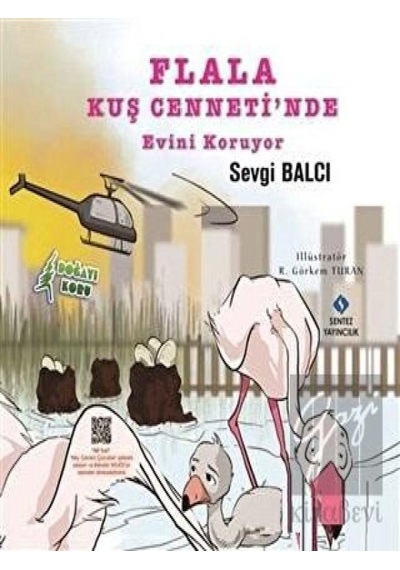 Flala Kuş Cenneti’nde Evini Koruyor Sentez Yayınları  -  Sentez Yayınları