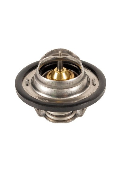 Termostat Kango 1997-1998-1999-2000-2001-2002-2003-2004-2005-2006-2007-2008-2009 7700872554