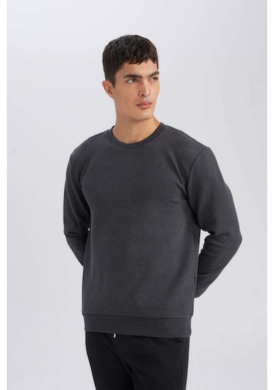DeFacto Regular Fit Bisiklet Yaka Jakarlı Sweatshirt D5394AX24AUAR84 DeFacto Regular Fit Bisiklet Yaka Jakarlı Sweatshirt D5394AX24AUAR84