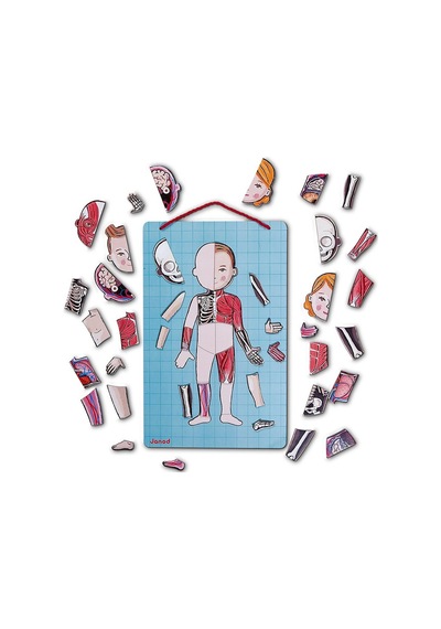 Janod Mıknatıslı Oyun - Vücudumuzu Tanıyalım