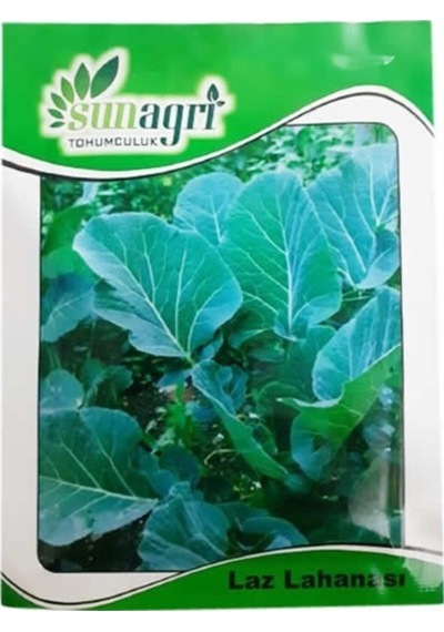 Yaprak Kara Lahana Laz Lahanası Tohumu 5gr Sebze Tohumu Paket