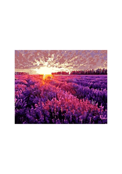 Lavanta Tarlası Ve Günbatımı Çerçevesiz 40x50 Sayılarla Boyama Hobi Seti