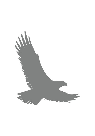 Uçan Kartal Sticker17x17 Cm Gri