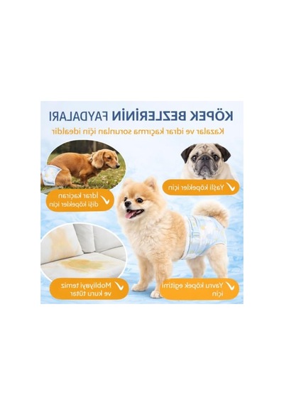 Ultra Emici Dişi Kedi Ve Köpek Tuvalet Bezi S Boy