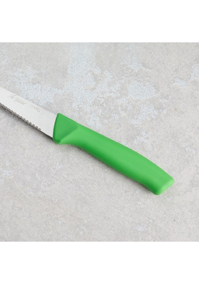 Aryıldız Rexa Tırtıklı Sebze Bıçak Yeşil 10 Cm Renkli