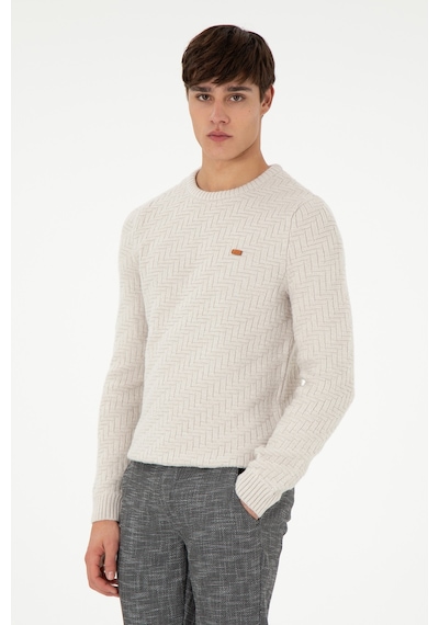 U.S. Polo Assn. Erkek Slim Fit Bisiklet Yaka Taş Kazak 50297050-VR049