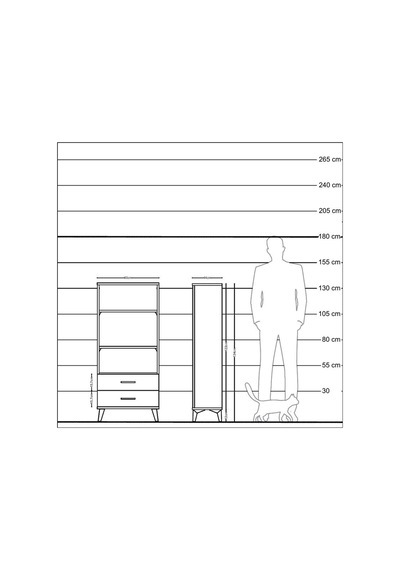 Hyperion Dolap 3 Raflı 2 Çekmeceli 60x44x134 Çam-antrasit Atlas Çam