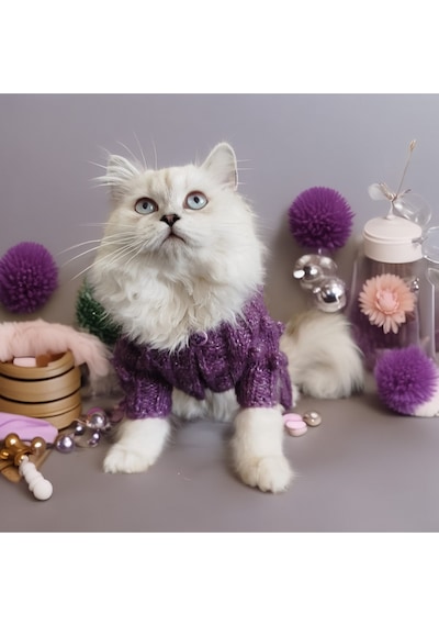 Kedi Ve Köpek İçin Pantolon, Hırka Ve Çanta'dan Oluşan Yün Takım
