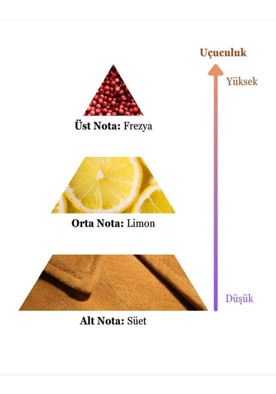 Persa For Women Soshe Bergamot - Limon