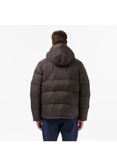 Jack Wolfskin İcy Hill Rds Erkek Kahverengi Outdoor Mont A65291