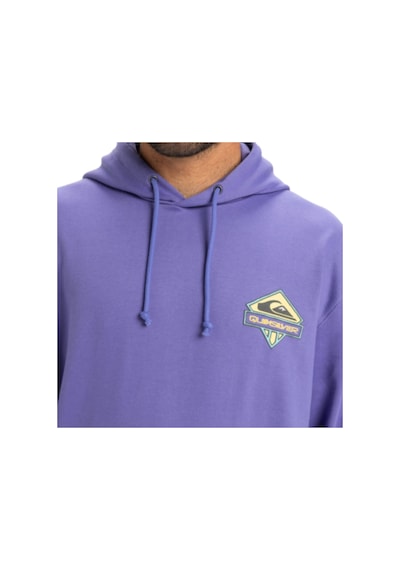 Quıksılver Quiksilver Apog Heritage Hoodie Erkek Mor Sweatshirt Pmg0 Mor