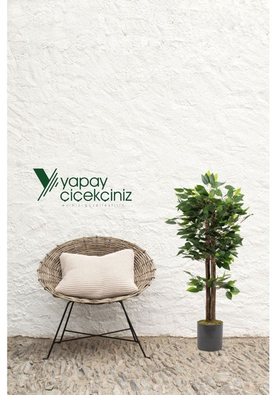 Yapay Çiçekçiniz Gri Saksıda Yoğun Yapraklı Yapay Benjamin Ağacı