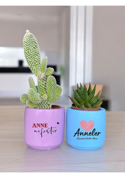 Anneler Günü Anneye Ve Eşe Özel El Yapımı Hediye Saksı Çiçeksiz Model 2