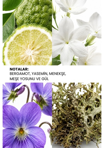 Ixora K156 Effect Kadın Parfüm EDP 100 ML