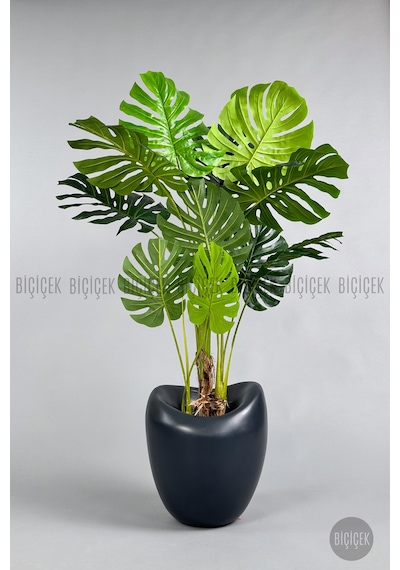 Yapay Monstera Ağacı Deve Tabani 170 Cm Antresi T Lale Saksıda Antresit