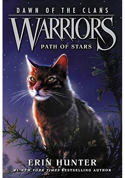 Warriors Dawn Of The Clans 6: Path Of Stars