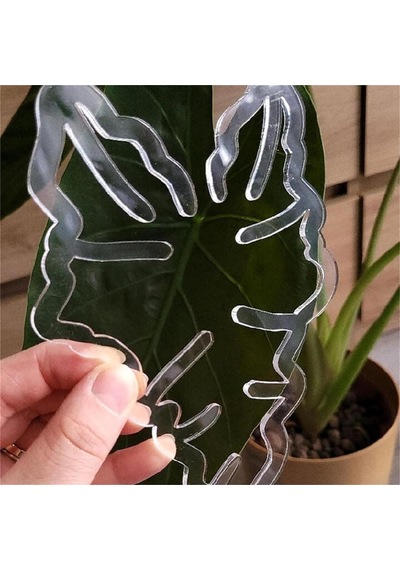 Açık Bitki Kök Destek Sahibi Monstera Yaprak Tesisi Dış Ve İç Mekan Bitkileri İçin Destek B