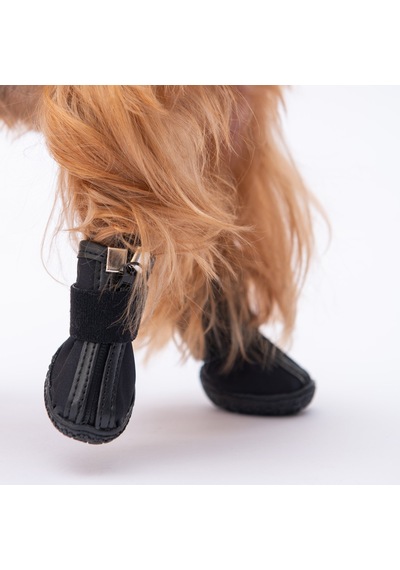Pawstar Siyah Köpek Ayakkabısı