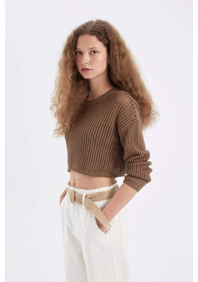 Defacto Regular Fit Bisiklet Yaka Kroşe Ajurlu Delikli Crop Triko Kazak T4513AZ24AUBG111 Bej