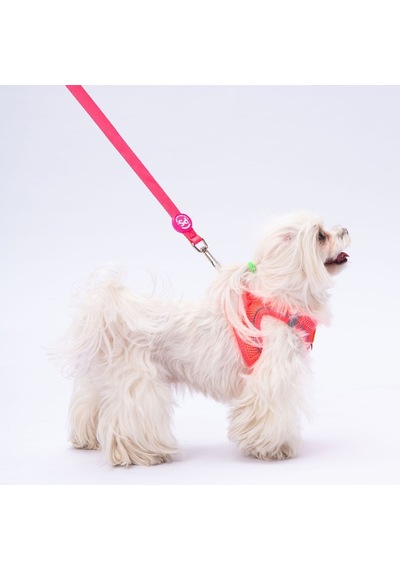 Pawstar L03 Neon Pembe Sevk Kayışı Pembe