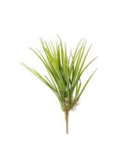 Yapay Saz Demet Yeşil 50 Cm Çok Renkli