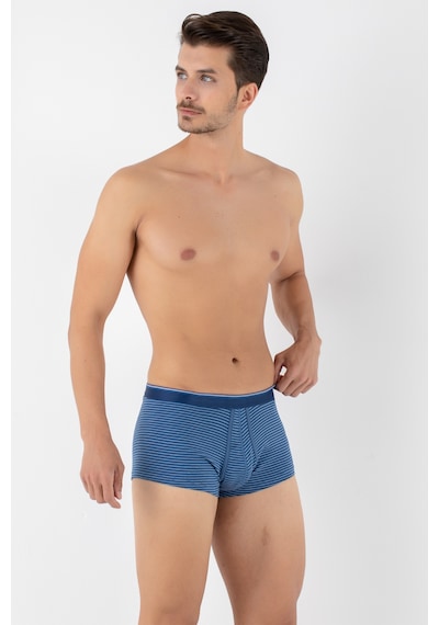 Doremi Dennis Cotton Erkek Boxer Mavi