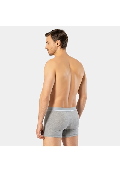 Cacharel Erkek Likralı Boxer 1315/gri Gri