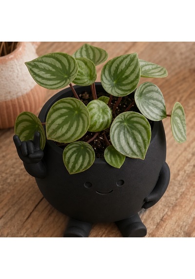 3d Baskı Smiley Face Planter - Gülümseyen Karakterli Saksı-siyah