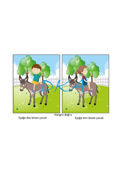 Doğru  Yanlış  Kartları