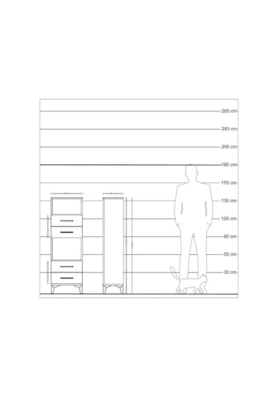Arges Dolap 2 Raflı 4 Çekmeceli 44x30x134 Antrasit-çam Antrasit
