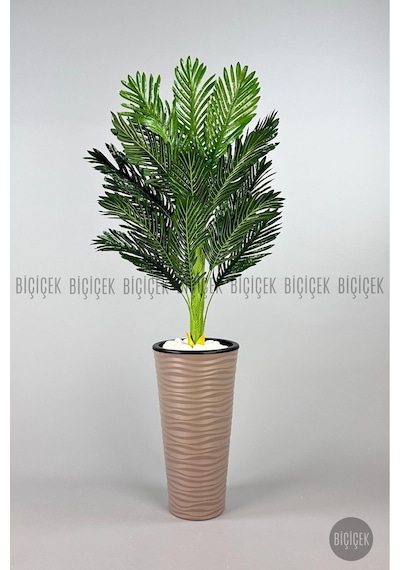 Biçiçek Areka Ağaci 150 Cm Mocha Kumsal Saksıda Tek Gövdeli̇