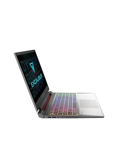 Casper Excalibur Gaming G880.1362-BX60X-C i7-13620H 16 GB 2 TB RTX5060 15.6" Dos Dizüstü Bilgisayar