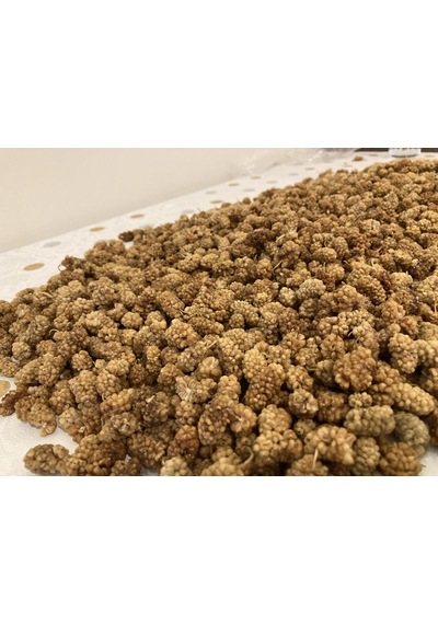 Baş Değirmenler İzmir Torbalı Doğal Beyaz Dut Kurusu 250 G