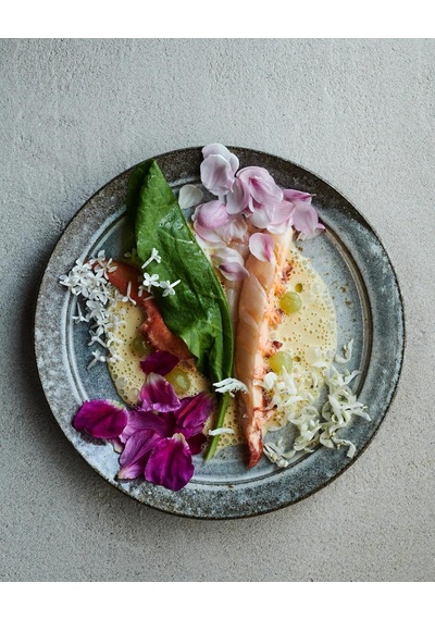 Noma 2.0: Vegetable, Forest, Ocean
