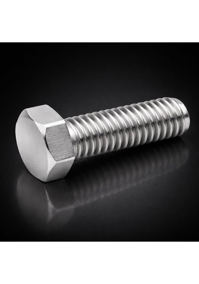 Dyzer Inox Akb Cıvata Dın933 A4-316 M6x10 10lu Paket