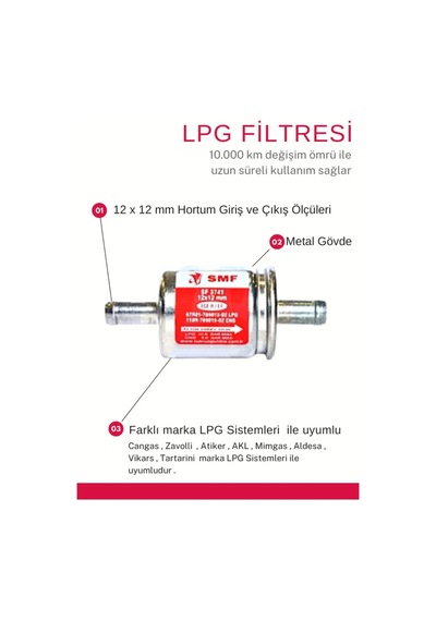 Atiker-akl-tartarini-cangas-vikars-mimgas-zavoli Uyumlu Lpg Gaz Filtresi 12x12 Mm Bakım Seti Diğer
