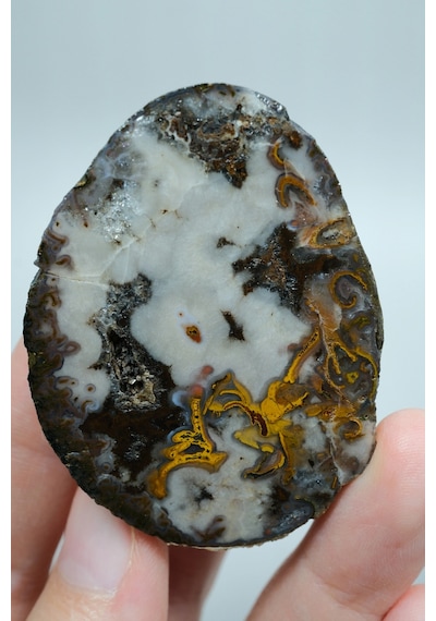 Plume Black Sea Agate Beyaz, Derin Kahverengi Ve Altın Turuncu Agate