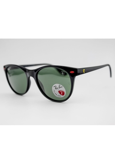 Rayban Rb 2202-m F601/31 54-19 Polarize Unisex Güneş Gözlüğü Diğer