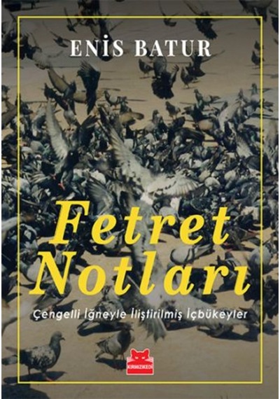 Fetret Notları - Enis Batur - Kırmızı Kedi