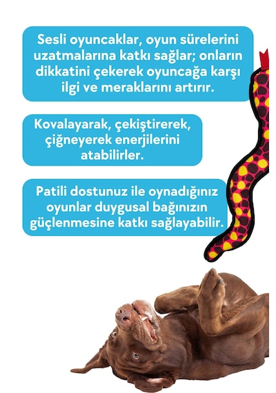 Havhav Vikvik Sesli Büyük Irk Peluş Yılan Köpek Oyuncağı