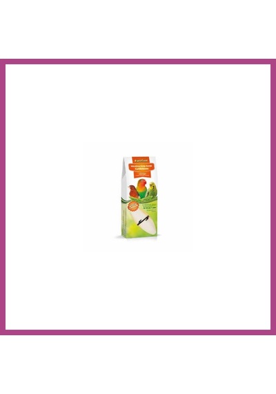 Gees Global Mürekkep Balığı Kemiği Kuş Gaga Taşı 12x14 Cm Gbzs