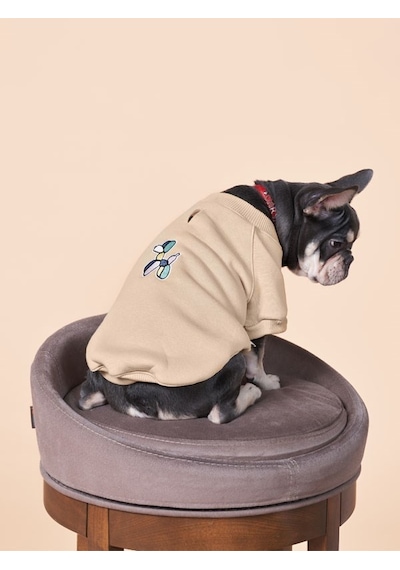 Balloon Küçük ve Orta Irk Köpekler İçin Köpek Sweatshirt