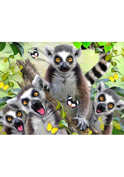 Prime 3d - Lemur Pelüş Ve Selfie 48 Parça Puzzle 15801