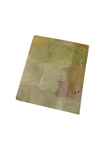 Papirüs Yapraklı Fotoğraf Albümü 27 Cm