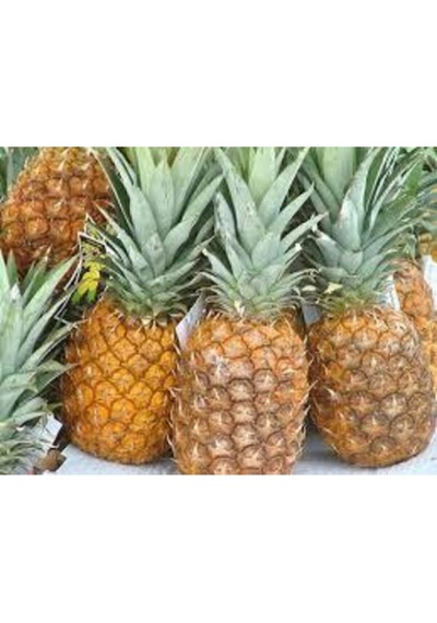 Ananas Meyve Ananas Tohumu 10 Adet..