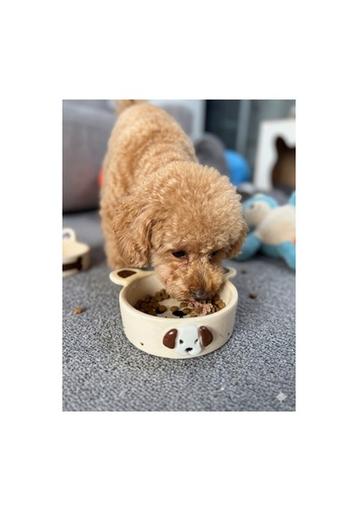 Kulaklı Ve Kabartmalı Özel Yapım Köpek Mama Kabı Seramik